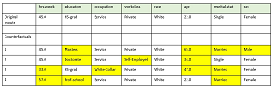 Example Counterfactuals from the Adult Data Set