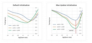 Figure 1: Maximal Update Parameter Networks Share Optimal Learning Rate