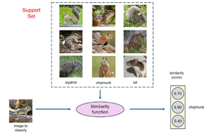 Figure 1: Few-Shot Learning Using a Similarity Function