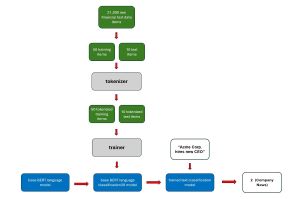 Figure 2: Fine-Tuning Process Block Diagram