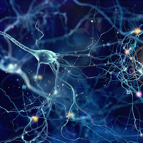 neuron graphic