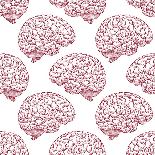 Red Brains Illustration