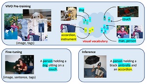 The VIVO pre-training separates images and tags during training which allows it to deal with novel objects (yellow).