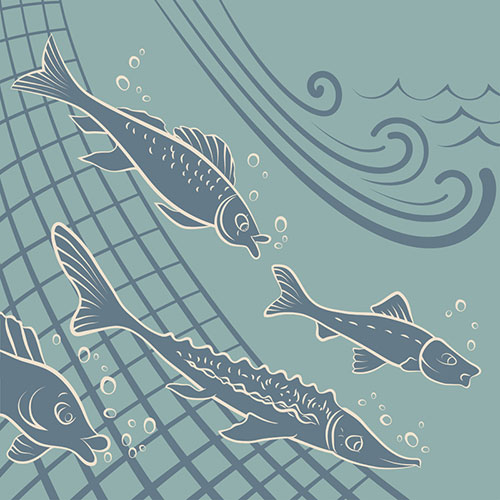 Illustration of Fish in Water
