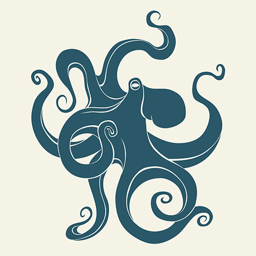Illustration of Octopus
