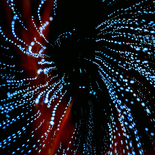 Blue Light Spiral Graphic